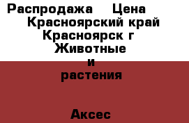 Распродажа! › Цена ­ 500 - Красноярский край, Красноярск г. Животные и растения » Аксесcуары и товары для животных   